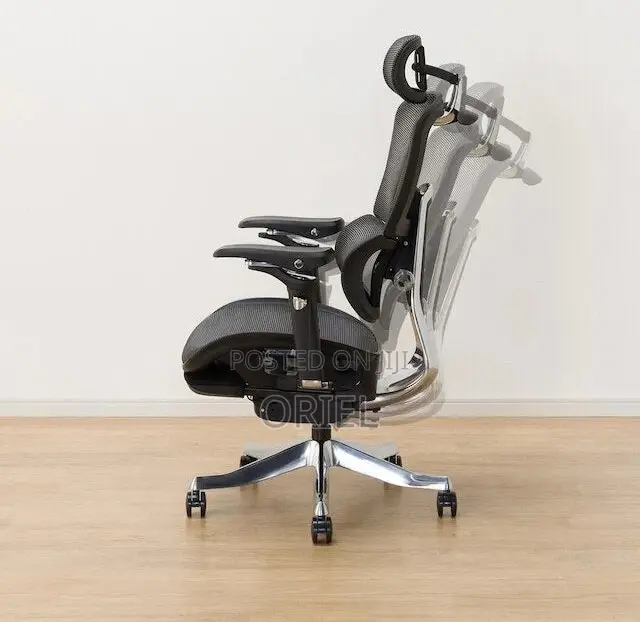 Office Chair : Executive Orthopedic Office Chair With Footrest