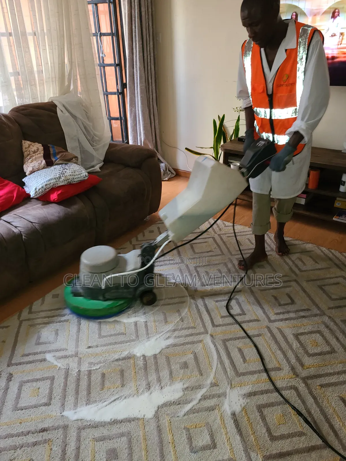Integrated Pest Management/Professional Cleaning/Property Hygiene Sols
