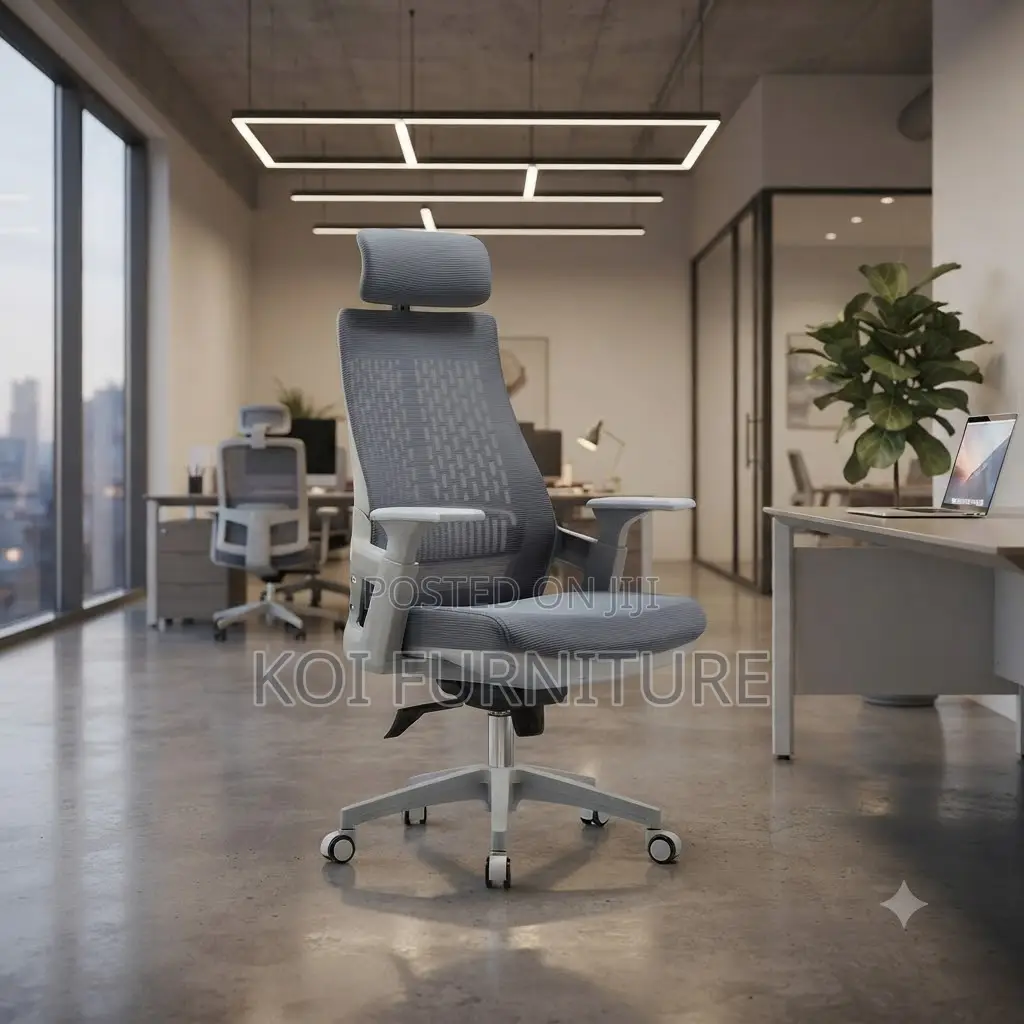 Office Chairs; High Back Oerthopedic Lamarre Office Chair