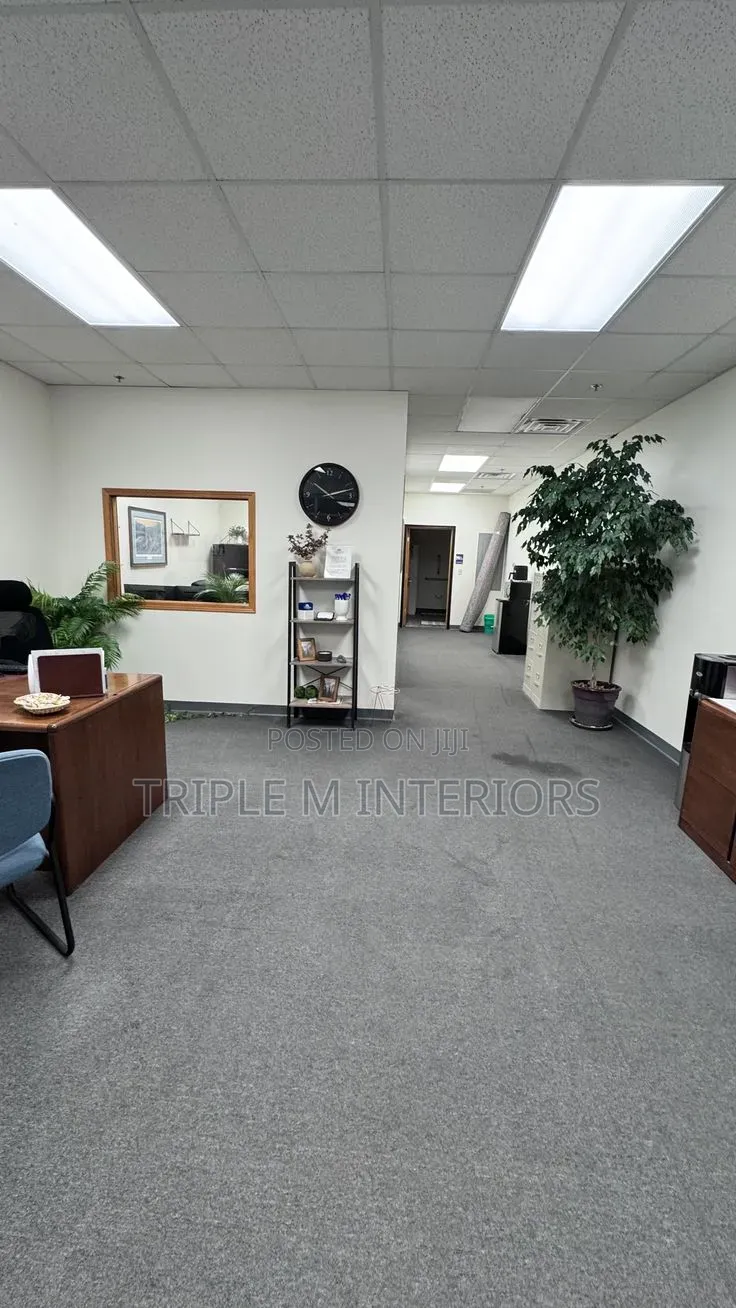 Wall to Wall Carpet Grey Delta Carpet
