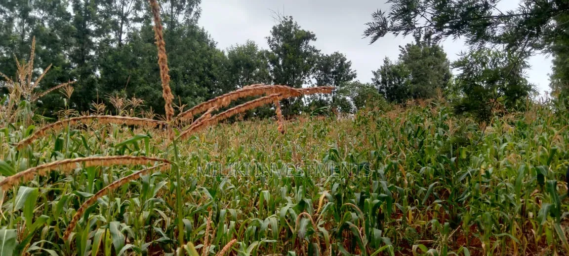 2 Acres in Sale at Muri -Kirinyaga