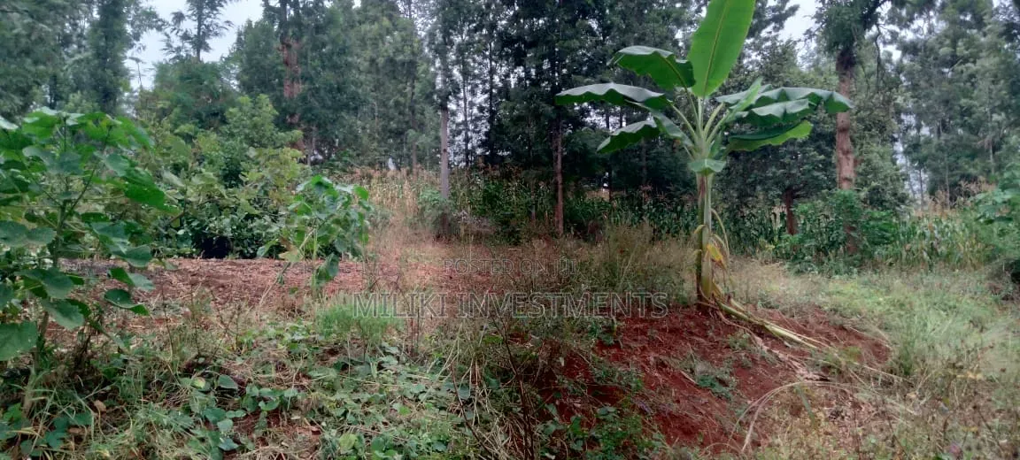 2 Acres in Sale at Muri -Kirinyaga