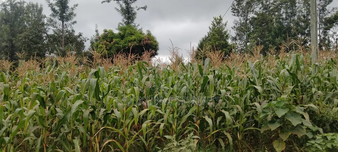 2 Acres in Sale at Muri -Kirinyaga