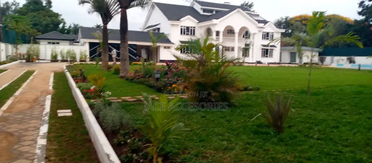 Landscaping and Lawn Care