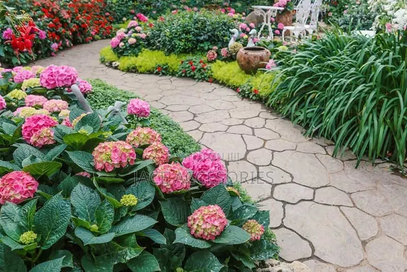 Landscaping and Lawn Care