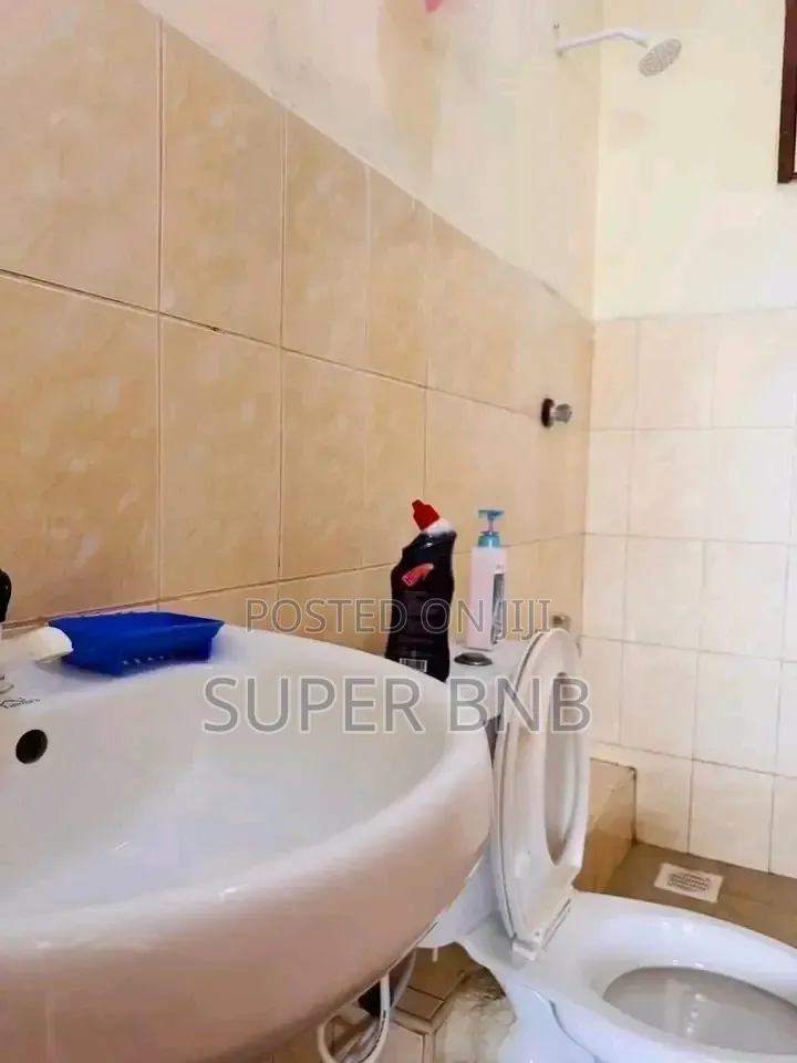 Executive Studio Apartment in Shanzu Along Serena Road