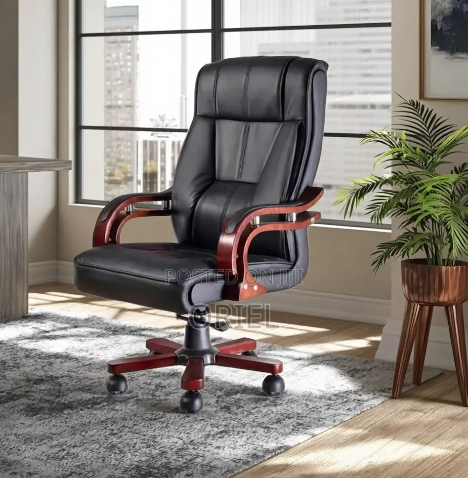 Office Chair : Executive Bliss Leather Chair