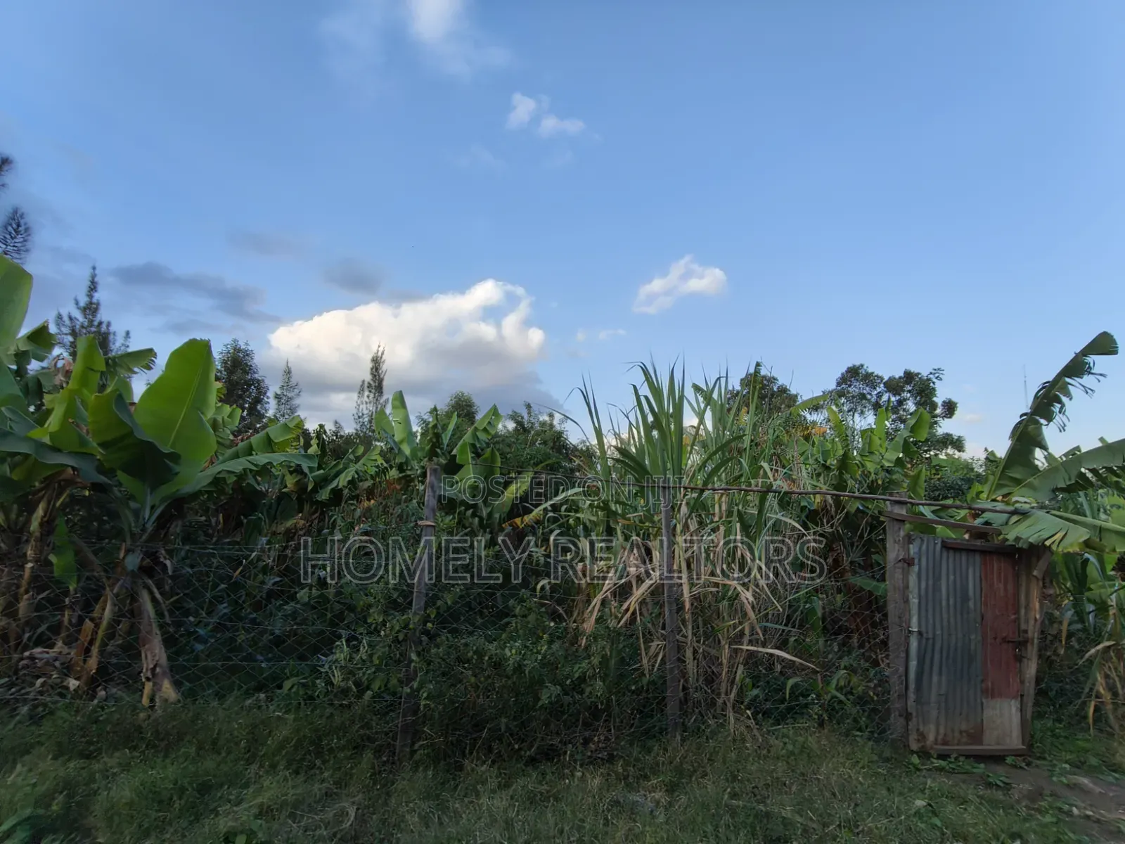 Residential Quarter Acre Plot for Sale in Ngong, Olkeri