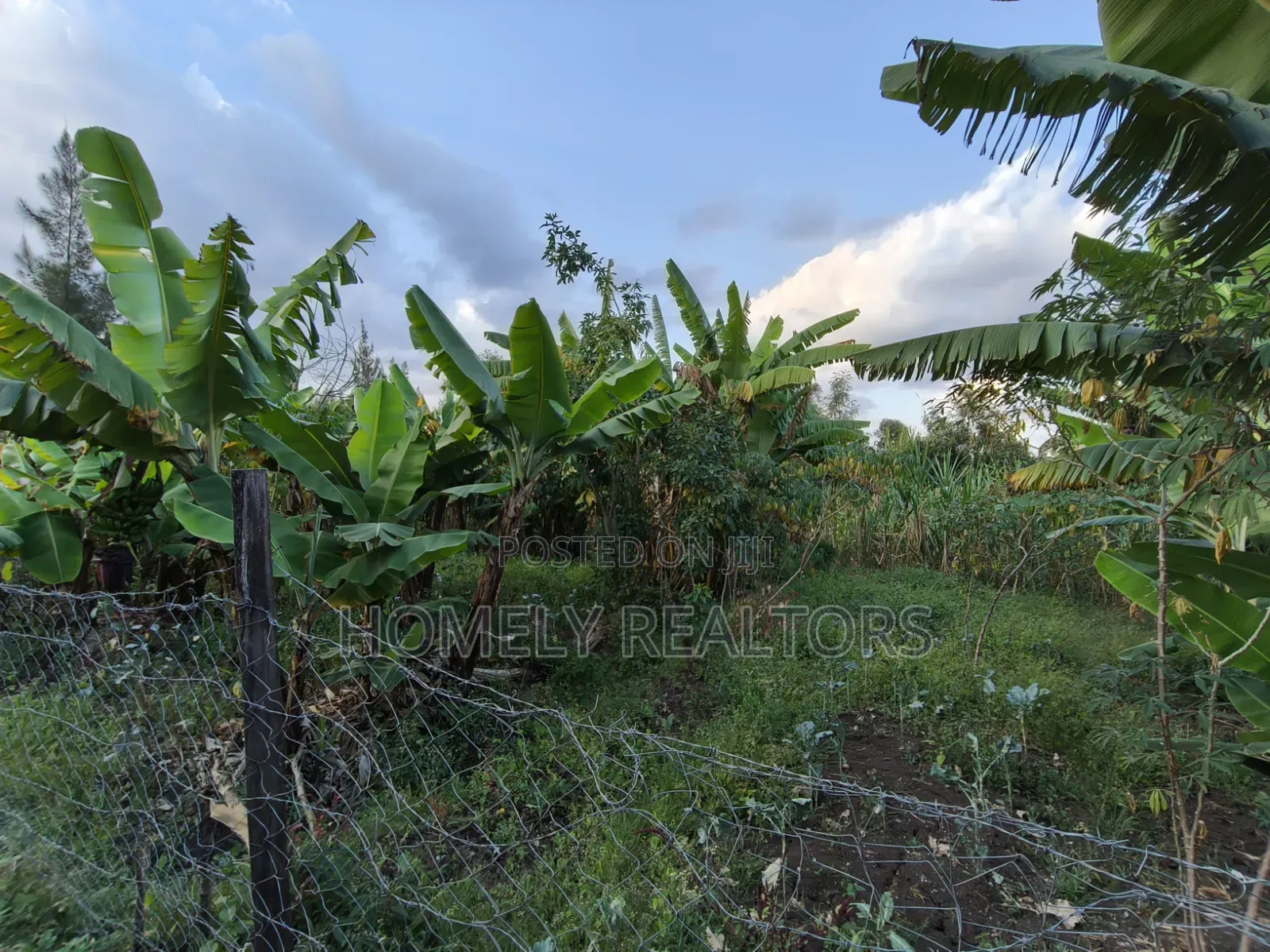 Residential Quarter Acre Plot for Sale in Ngong, Olkeri