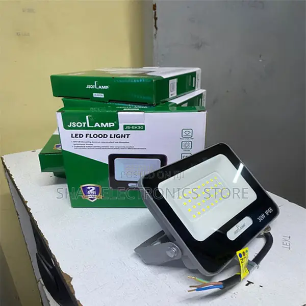 Bright and Comfortable Ip 66 30w Ac Floodlights/Security Outdoor
