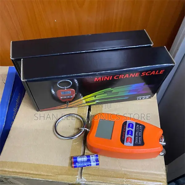 Outdoor/ Portable Weighing Scale Mini Crane – Digital Hanging 200kg