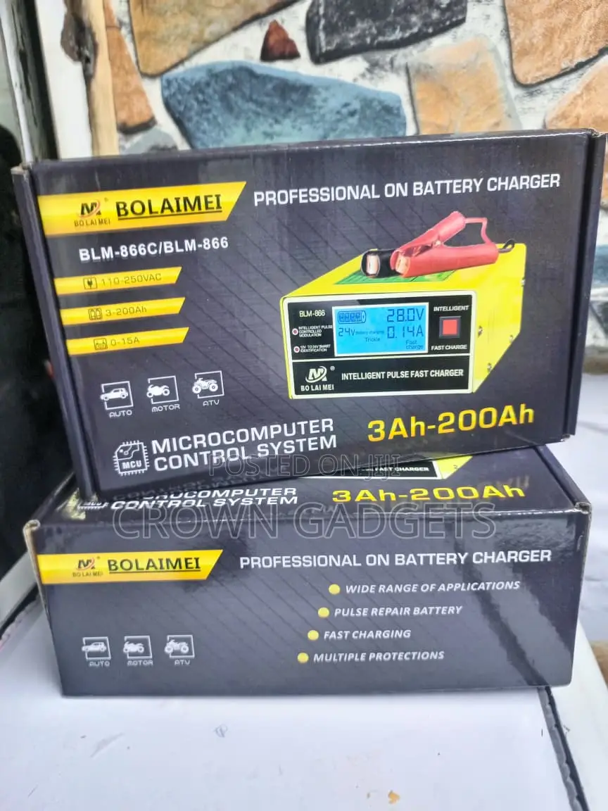 Bolaimei Portable Automotive Battery Charger