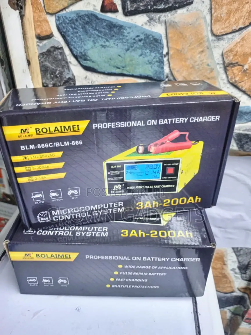 Bolaimei Heavy Duty 12v/24v Battery Charger