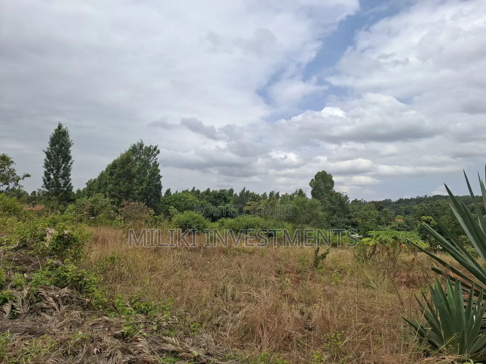 7 Acres on Sale at Kirinyaga,-Kianjiru