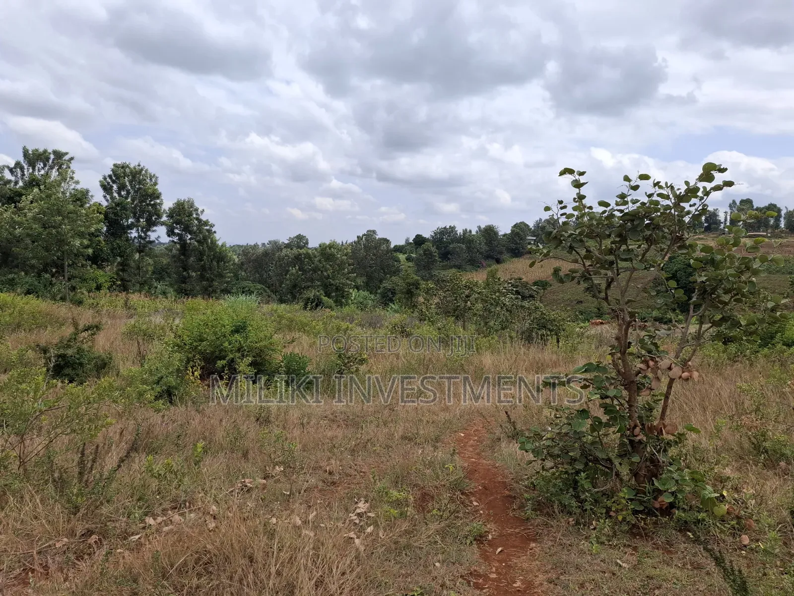 7 Acres on Sale at Kirinyaga,-Kianjiru