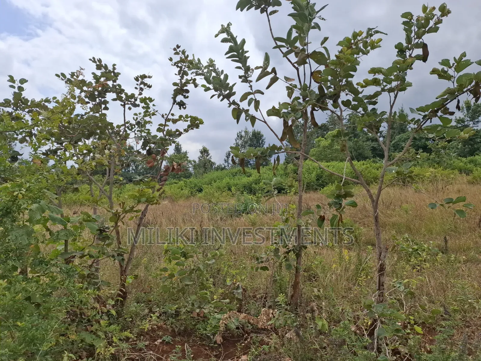 7 Acres on Sale at Kirinyaga,-Kianjiru