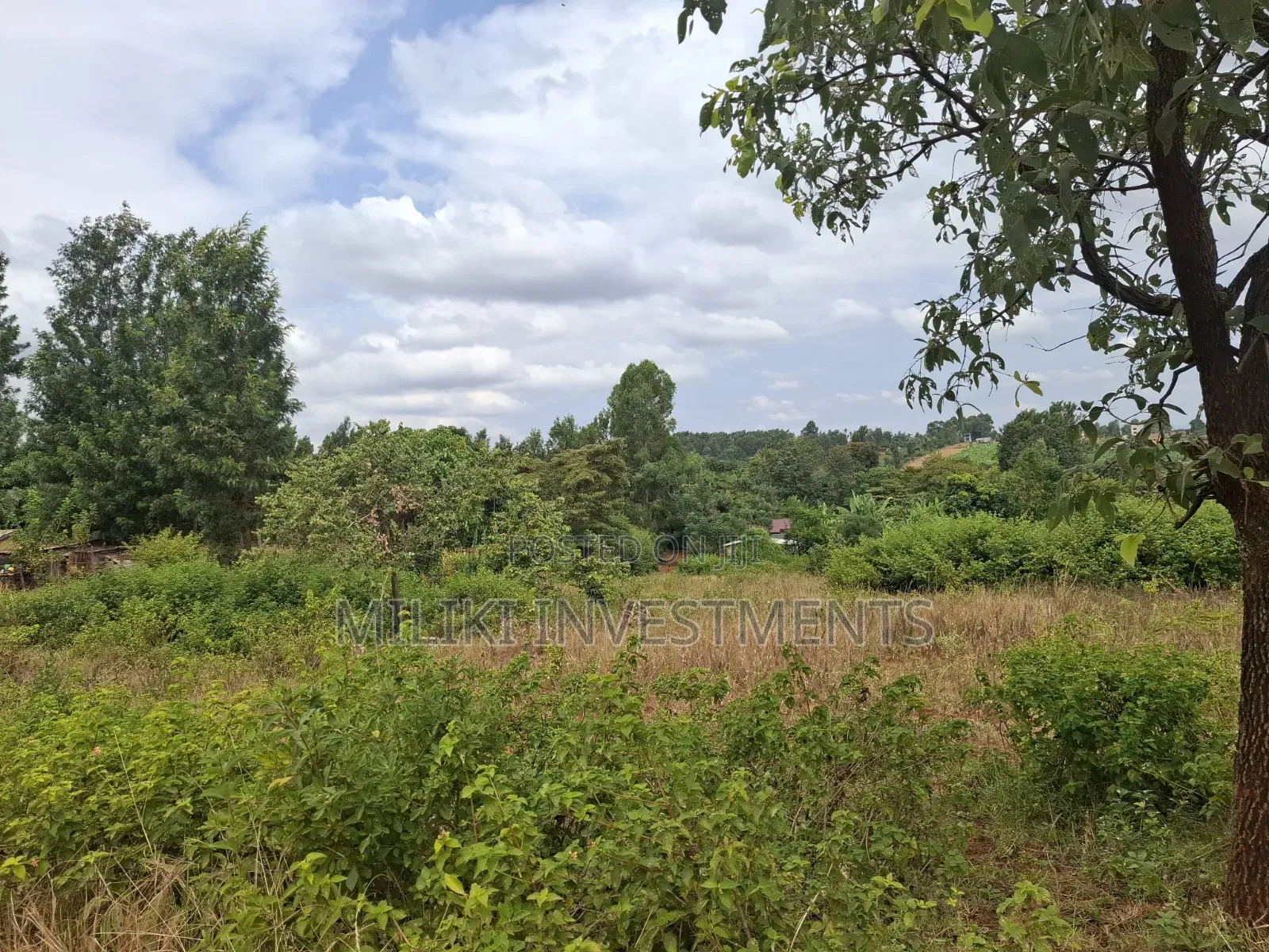 7 Acres on Sale at Kirinyaga,-Kianjiru