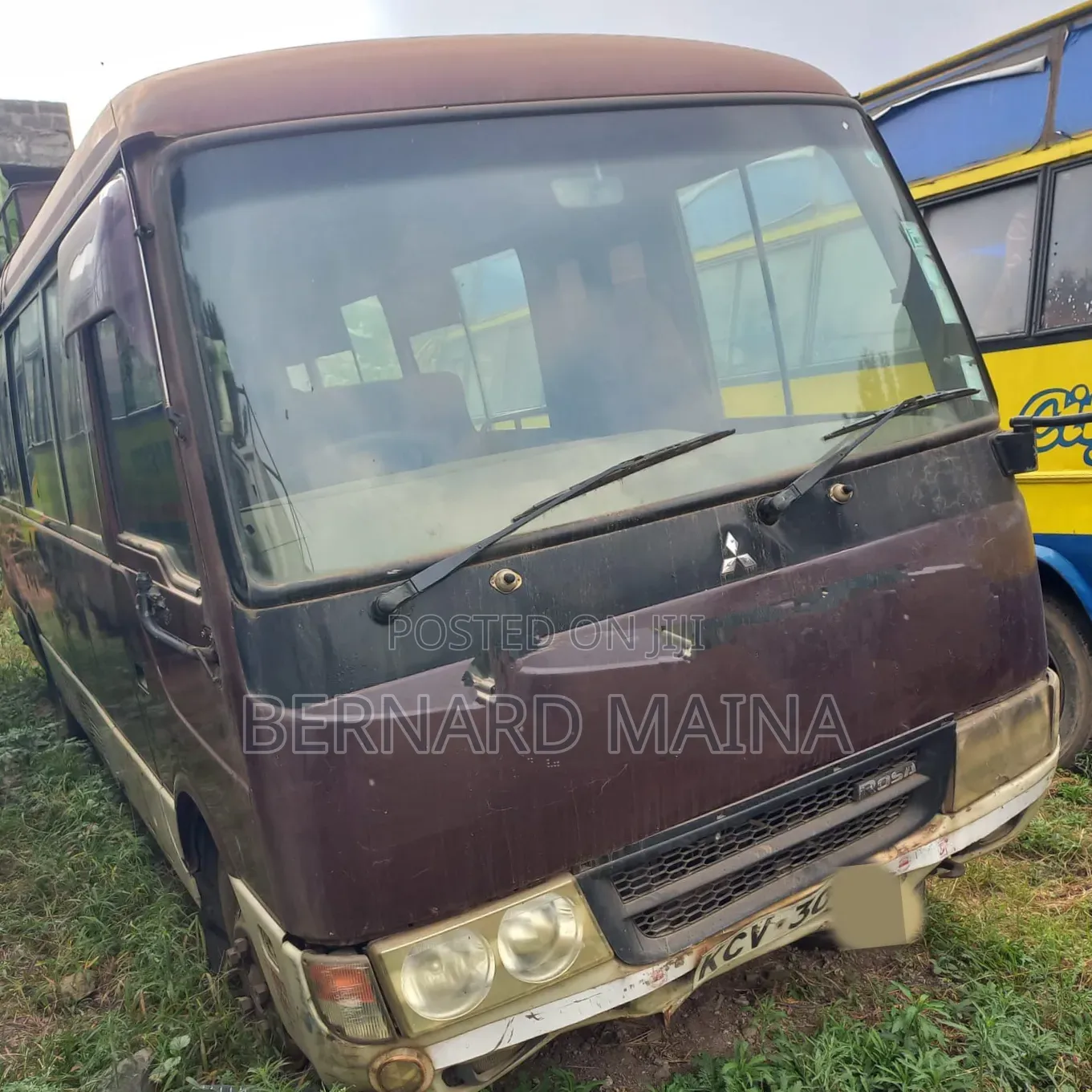 Mitsubishi Fuso Rosa 2014 Brown
