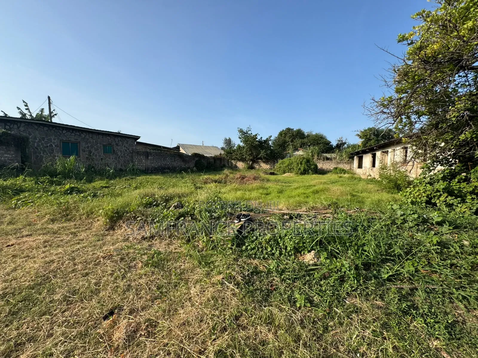 Quarter an Acre Plot on Sale