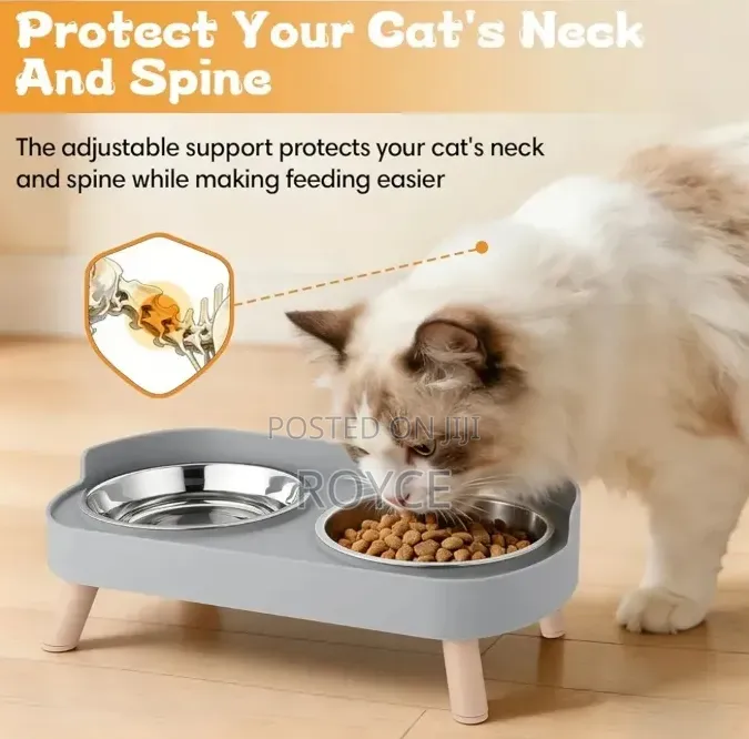 Pet Feeding Bowl Set