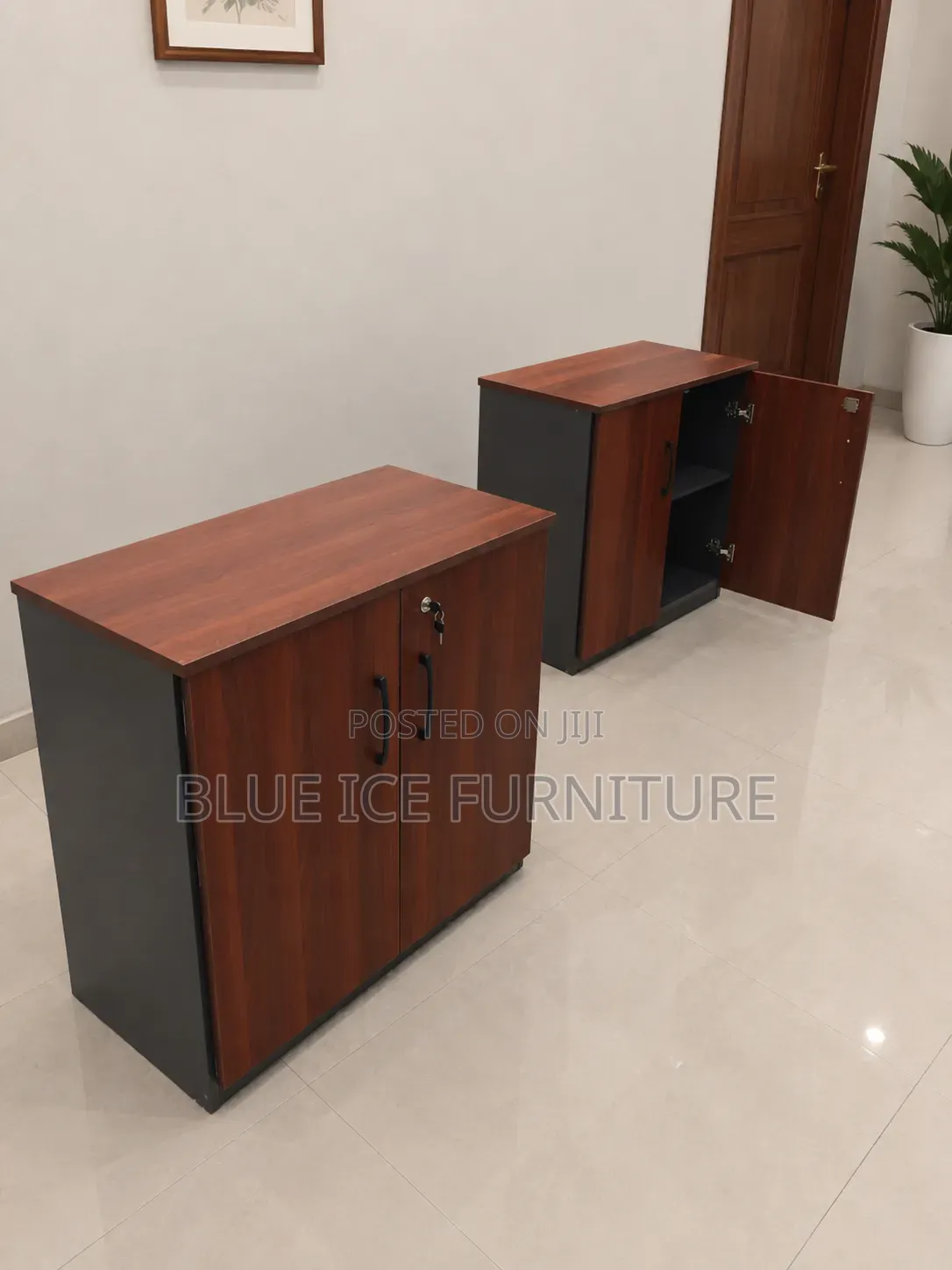 2 Door Office Storage Cabinet