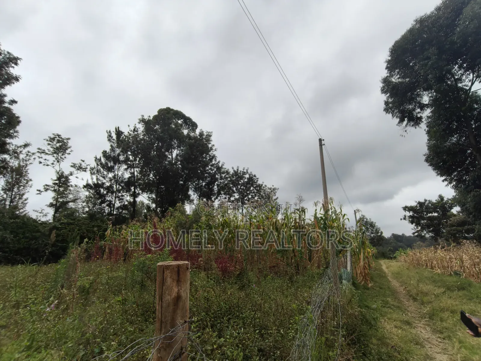 Residential Eighth Acre Plot for Sale in Ngong, Ol Keri Area