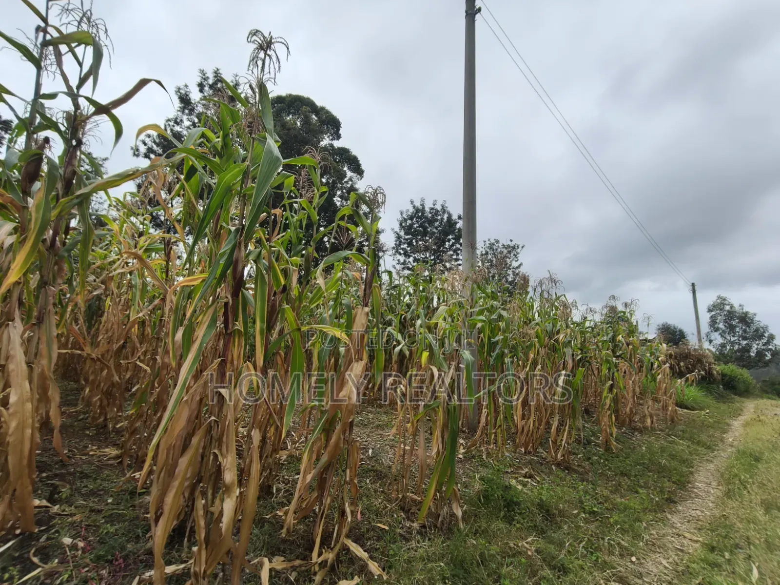 Residential Eighth Acre Plot for Sale in Ngong, Ol Keri Area