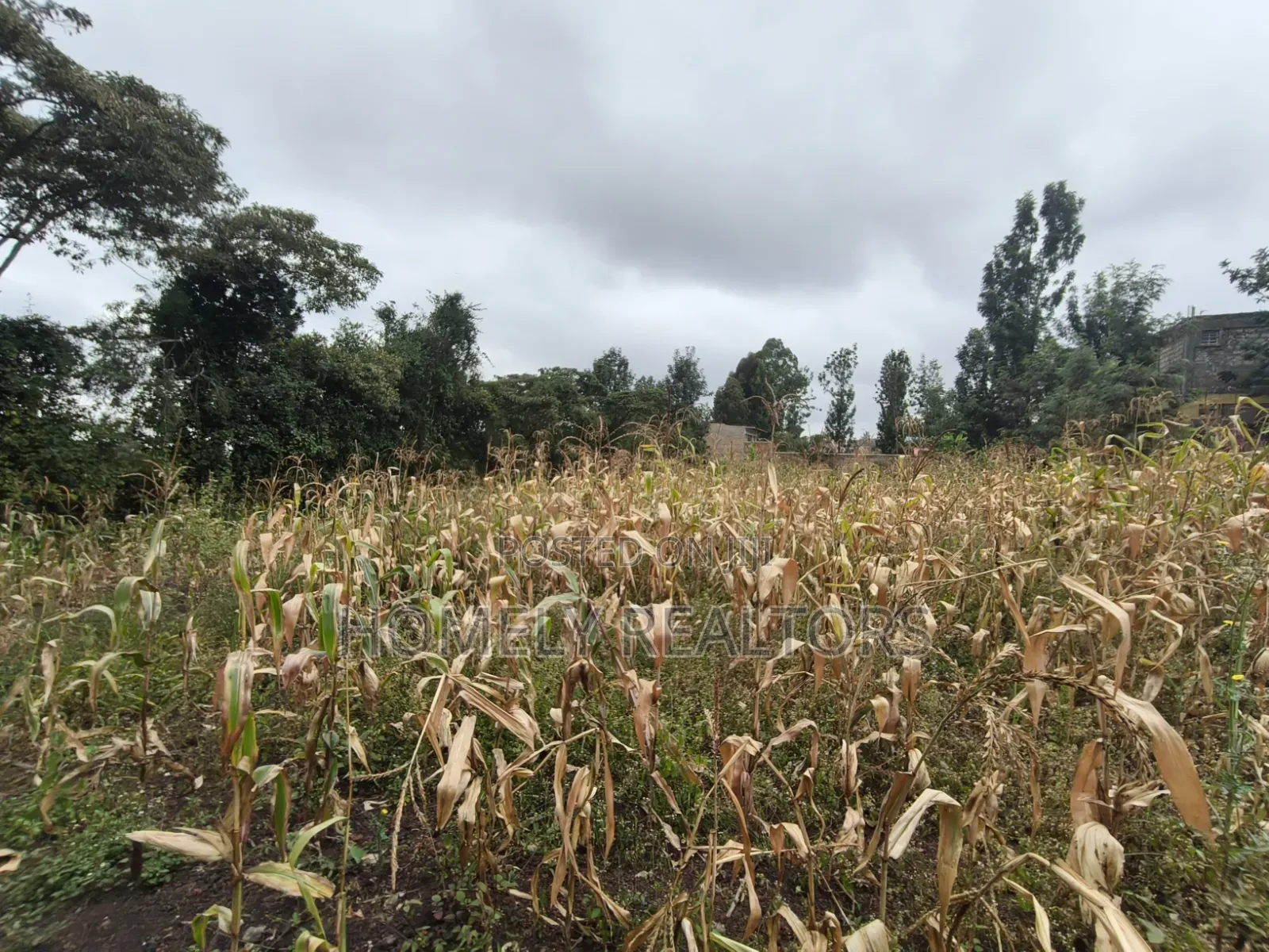 Quarter Acre Plot for Sale in Ngong, Ol Keri Near the Tarmac