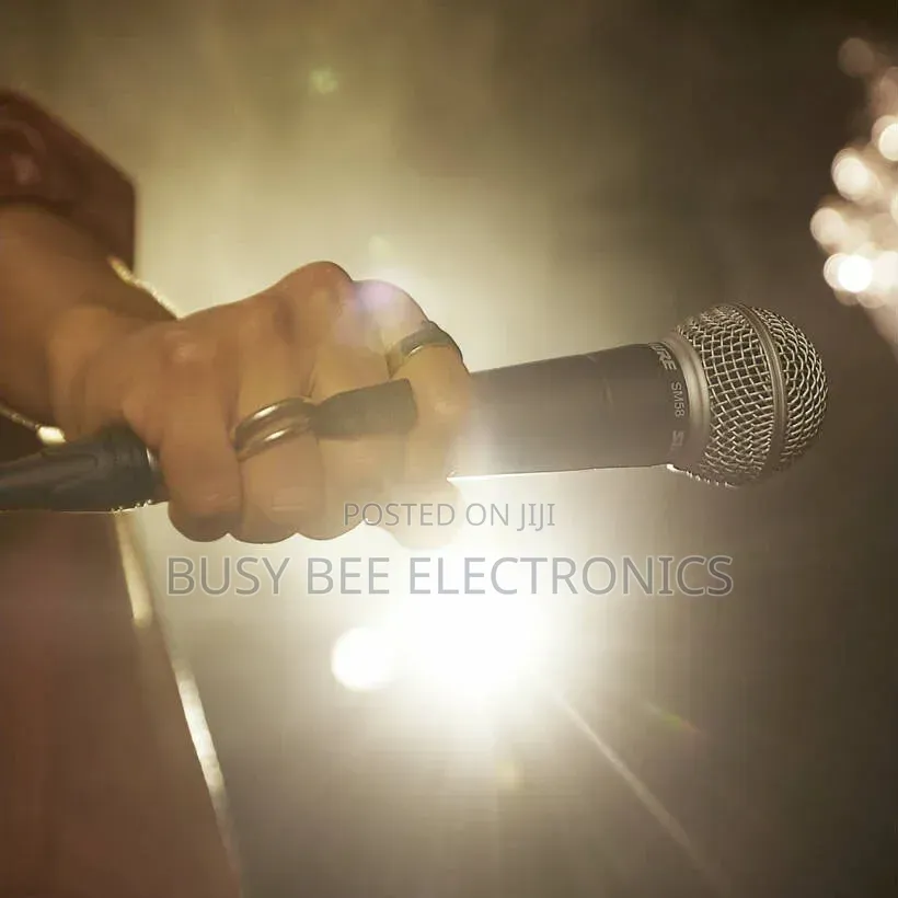 Shure Sm58-Lce (Without Switch)