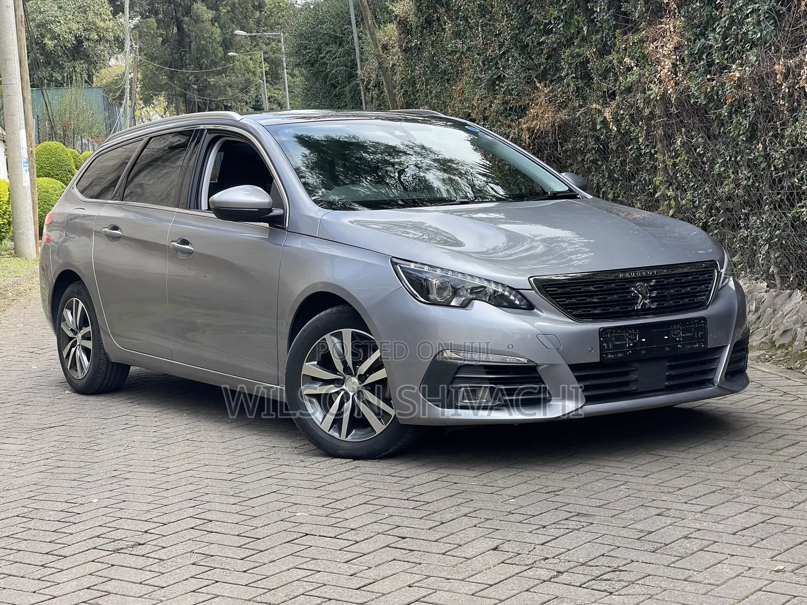 Peugeot 3008 2019 Silver
