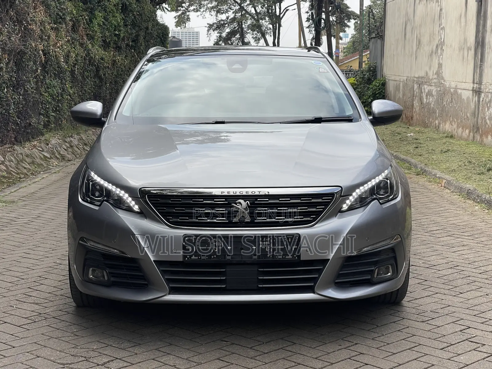 Peugeot 3008 2019 Silver