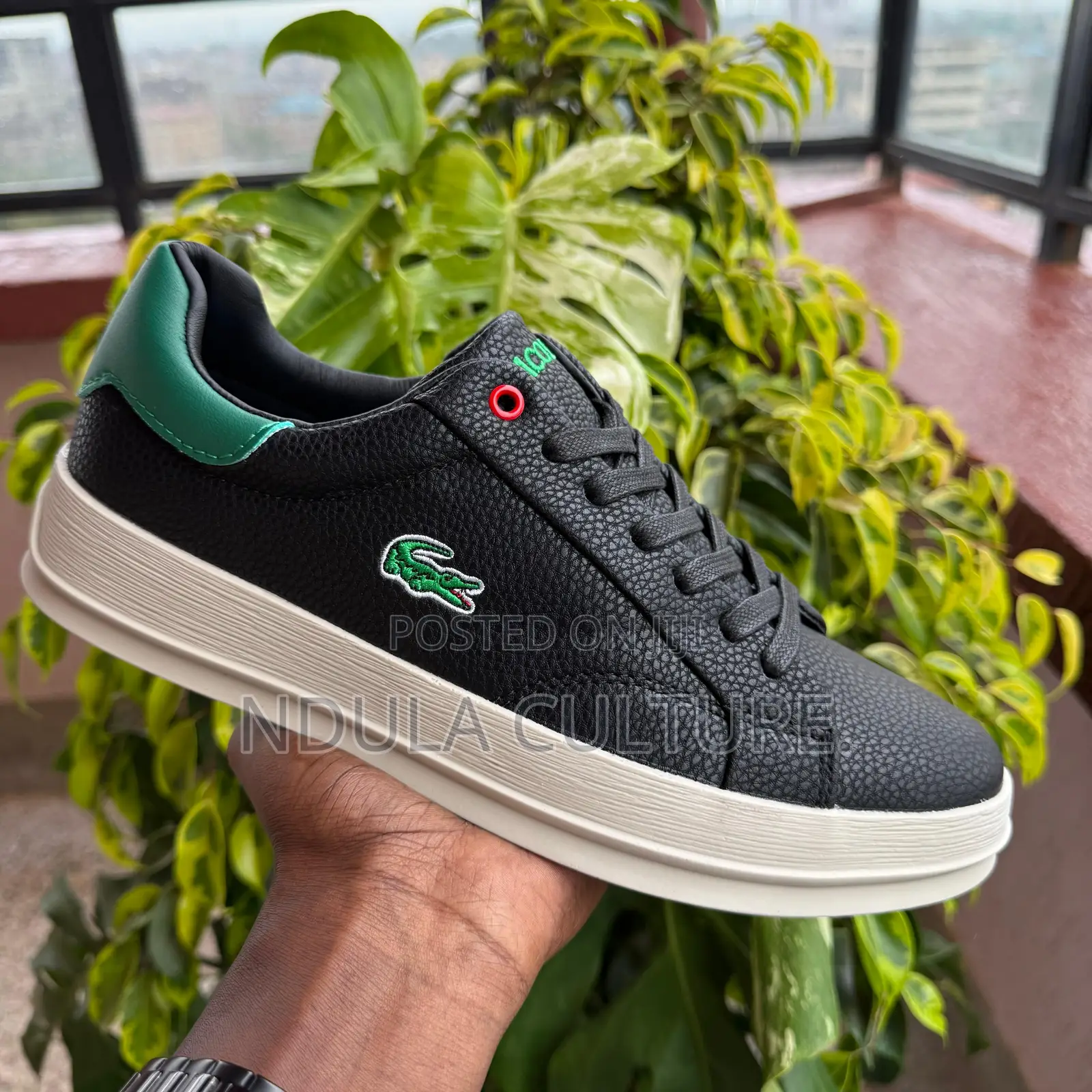 Lacoste Men's Fashion Sneakers