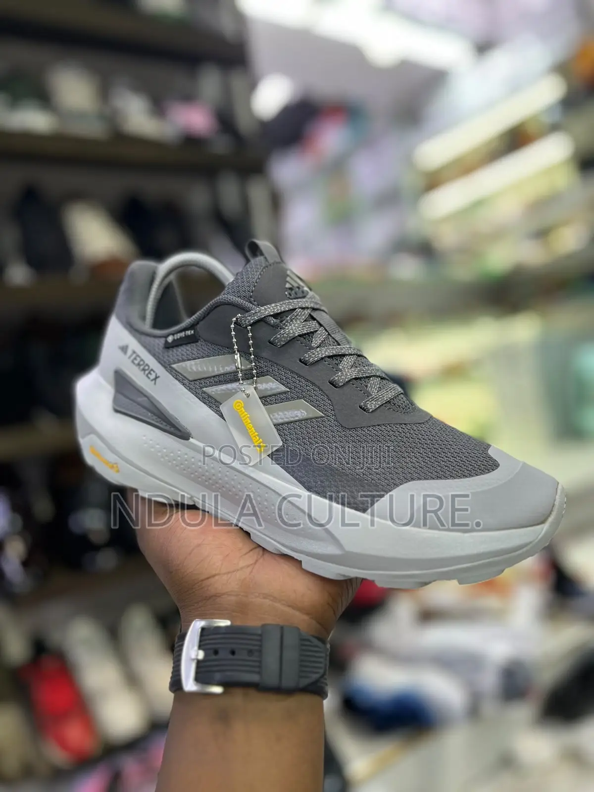 Adidas Terrex Hiking Boot-Goretex
