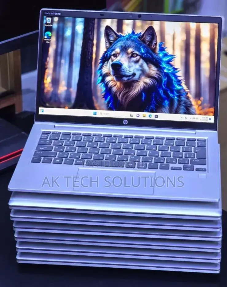 Laptop HP 8GB AMD Ryzen 5 SSD 256GB