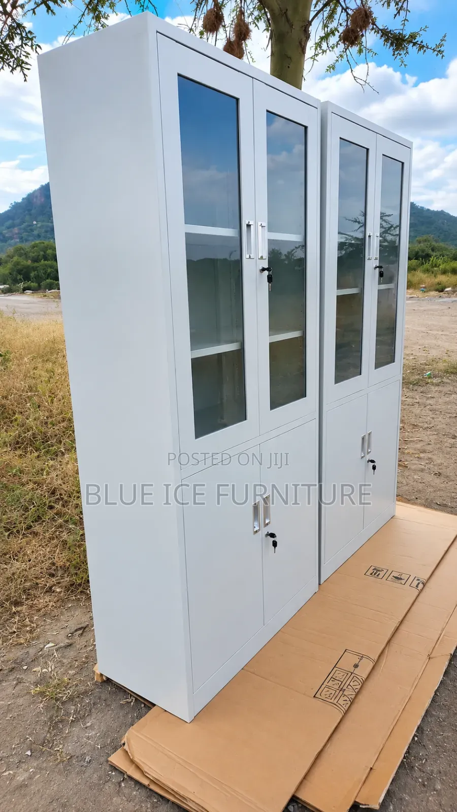 Modern 2-Door Glass Office Filling Cabinet