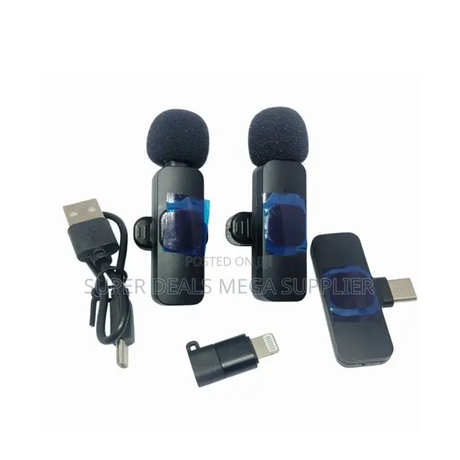 Portable Mini Lapel Lavalier Dual Wireless Microphone