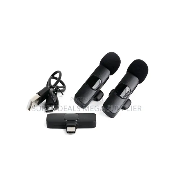 Professional Mini Lapel Lavalier Dual Wireless Microphone