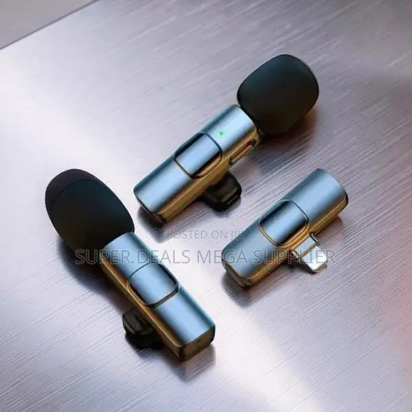 Plug and Play Mini Lapel Lavalier Dual Wireless Microphone