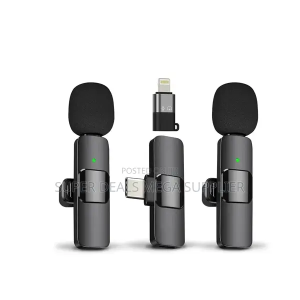 Rechargeable Mini Lapel Lavalier Dual Wireless Microphone