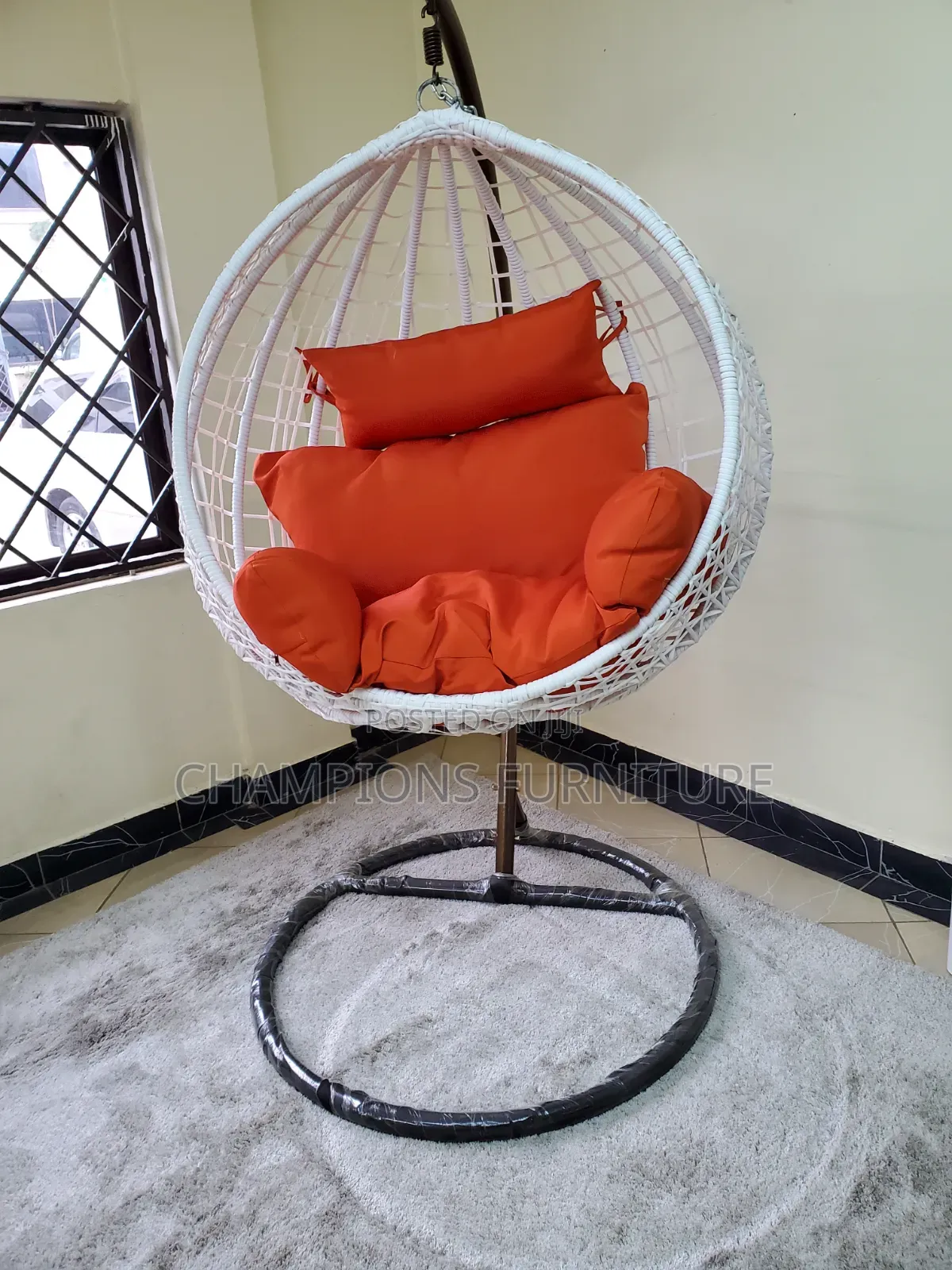 Egg Shaped Swing Chair