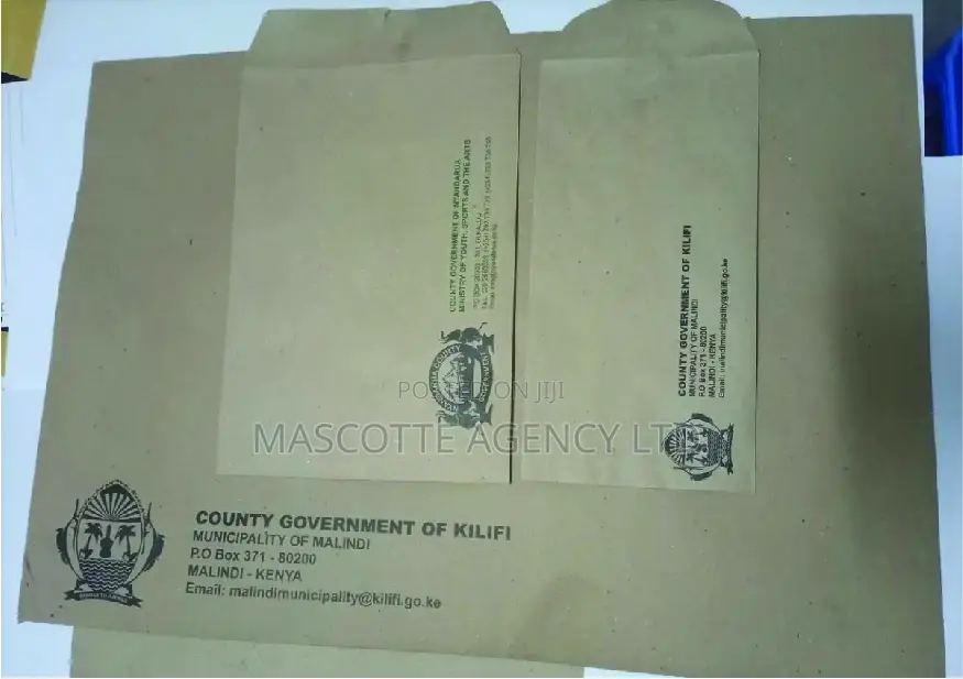 Printed Professional Envelopes