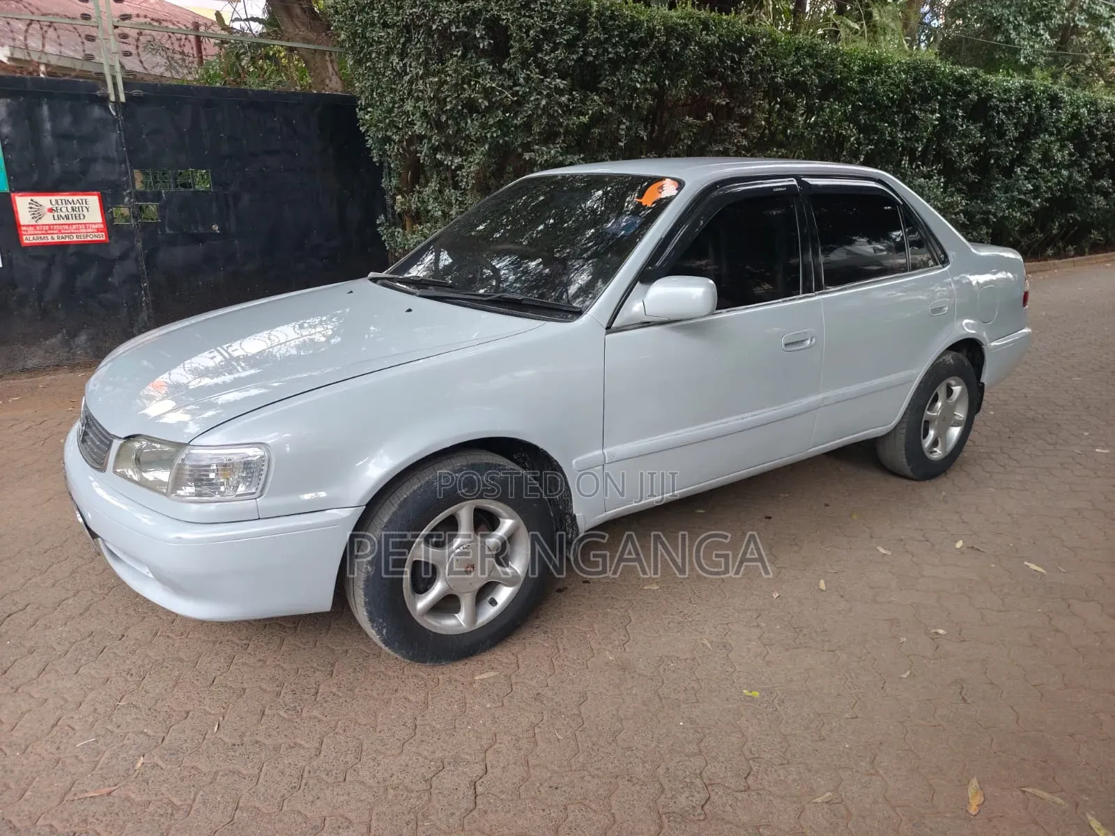 Toyota Corolla 1999 White
