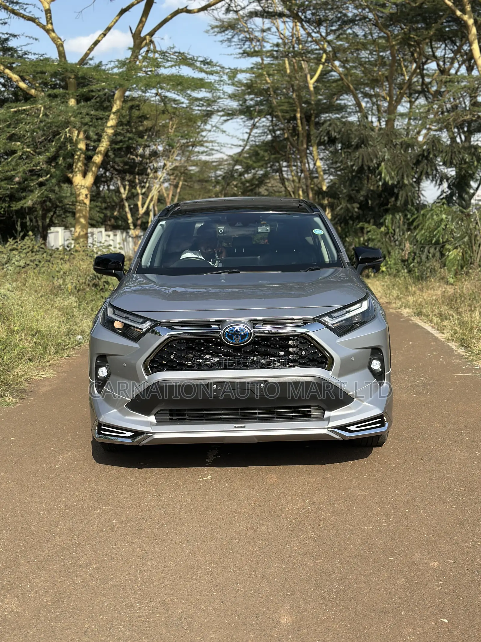 Toyota RAV4 Hybrid 2019 Silver
