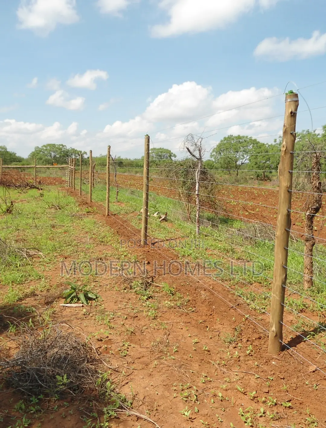 Strong, Durable Effective Electric Fence With Wooden or Steel Posts