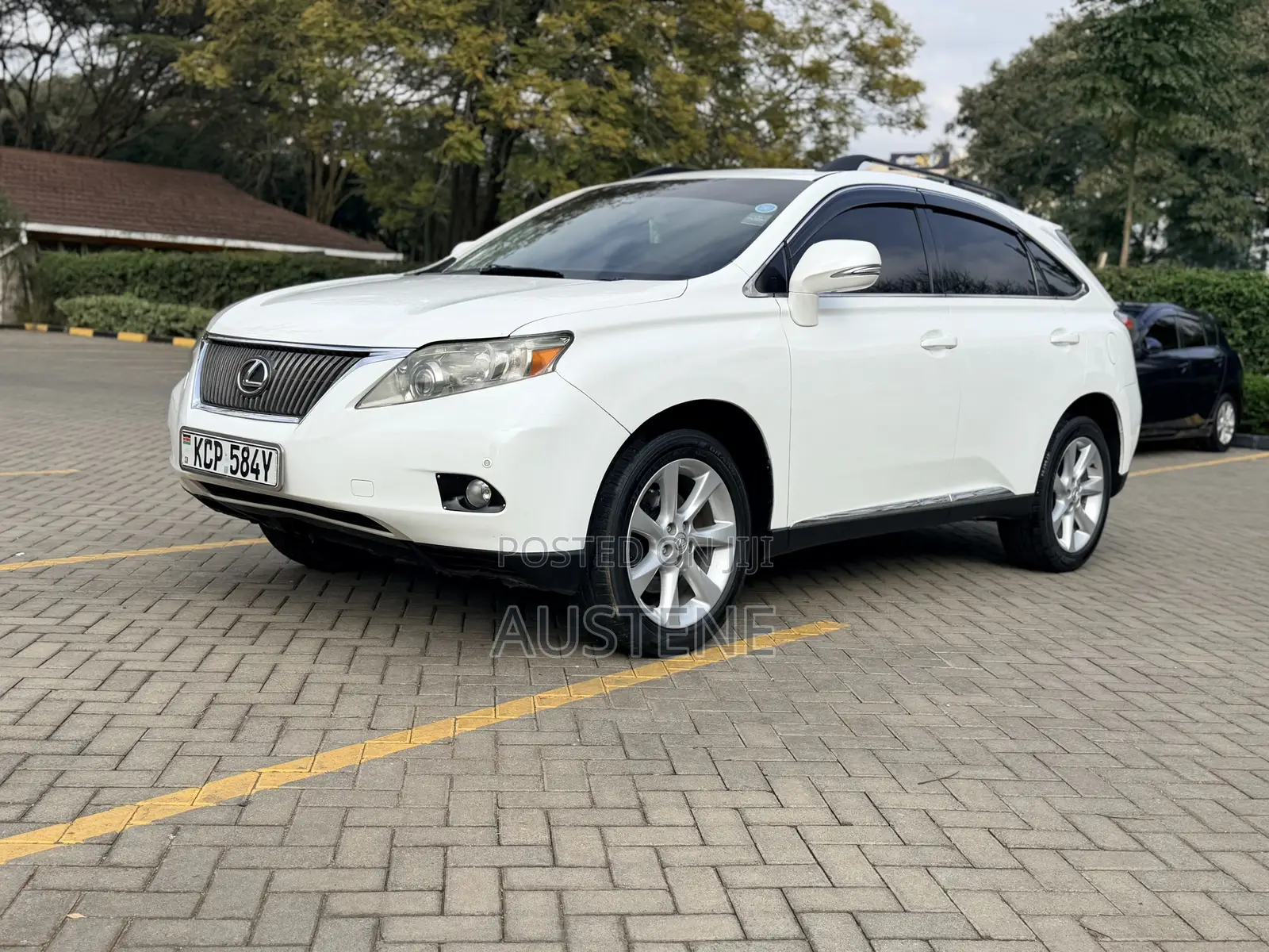 Lexus RX 2011 White