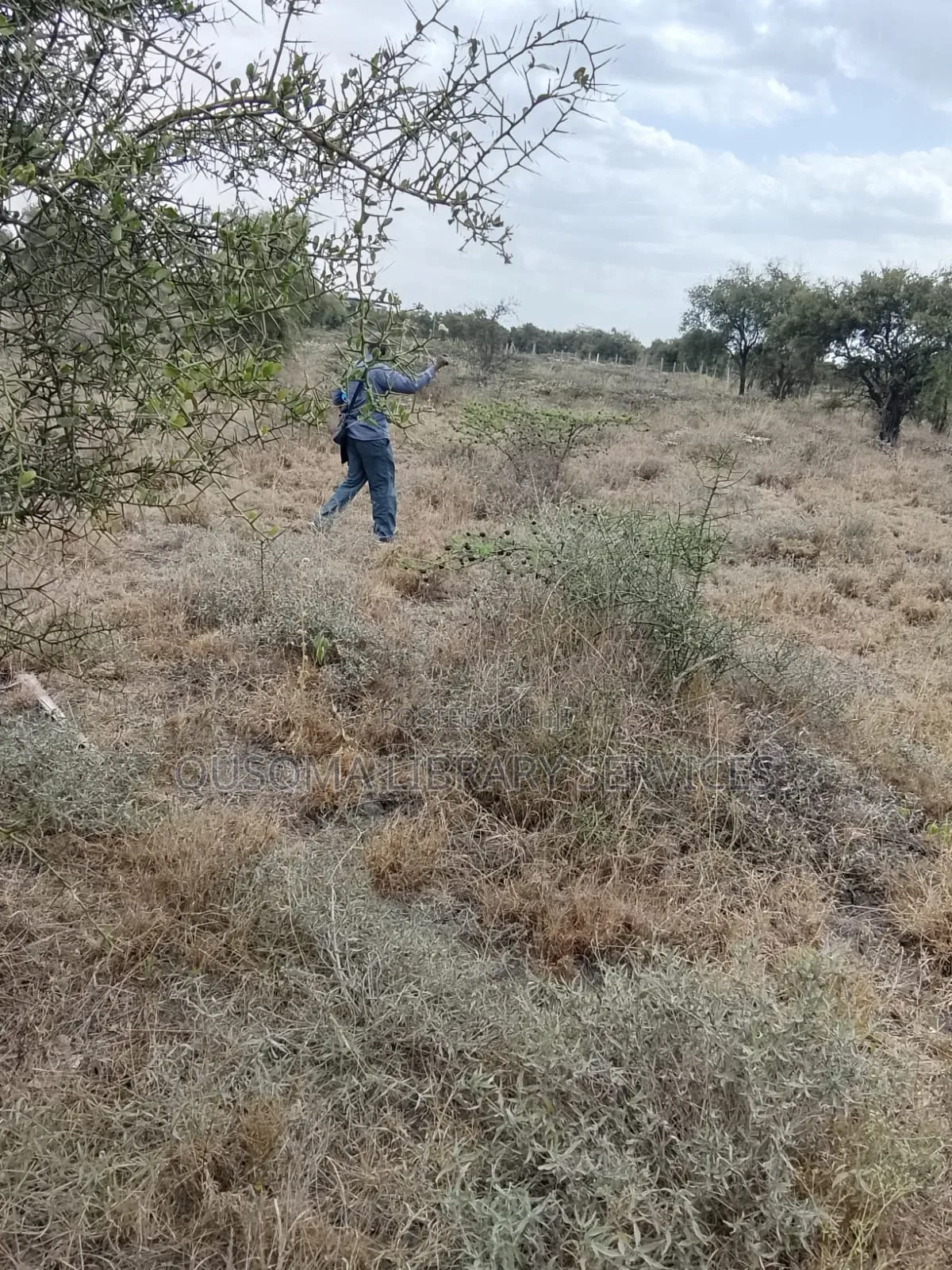  Prime 50x100 Plots in Kitengela Rangers – KSH 1.29m Each