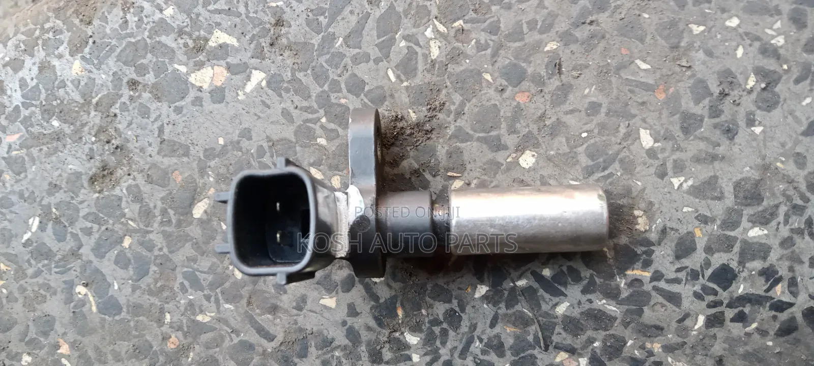 Crankshaft Sensor Nissan Navara