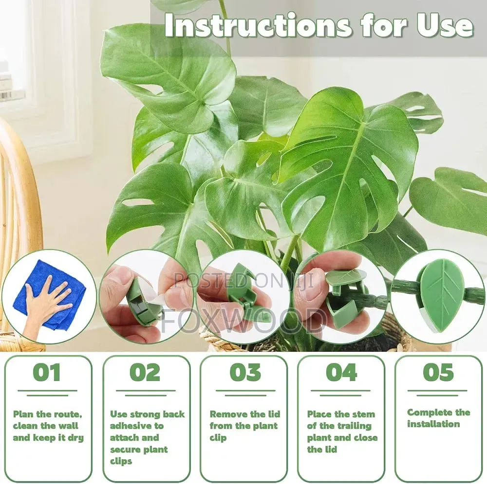 10 PCS Plant Clips for Climbing Plants
