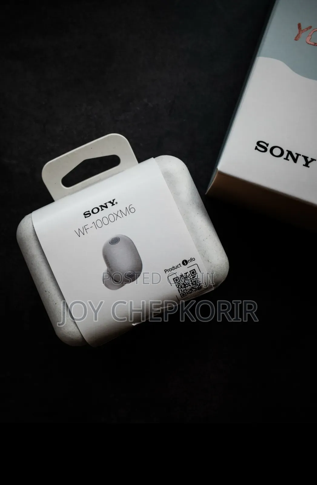 New Sony WF-1000XM6 Earbuds