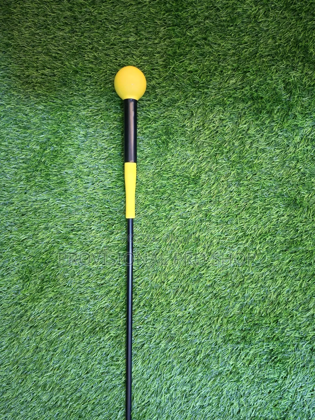 Golf Swing Trainer